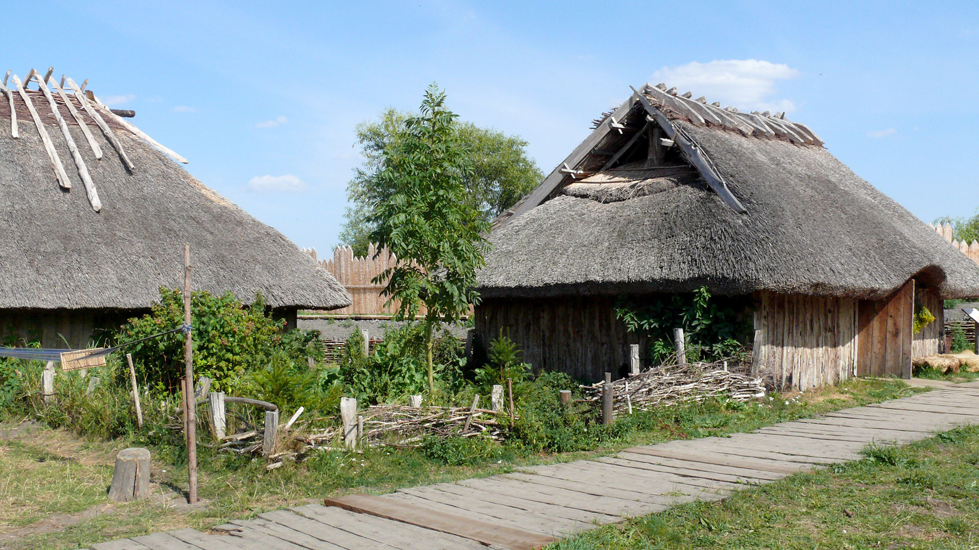 Die Lutizen. Zur Geschichte der Slawen zwischen Elbe und Oder