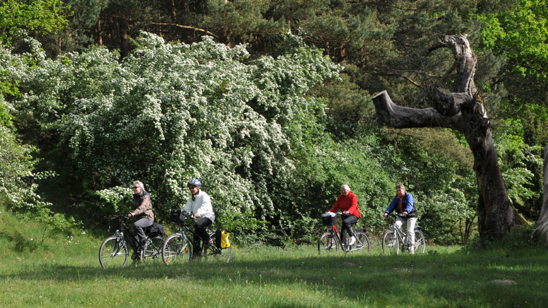Die Nationalpark-Radtour